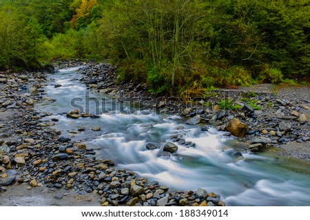 rushing river in a mountain forest