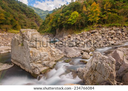 rushing river in a mountain forest