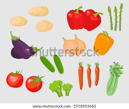 Vegetables vector set cartoon illustration in flat style. Potatoes isolated, tomatoes, asparagus, bell pepper, onions, cucumbers, celery, broccoli, eggplant isolated on white.