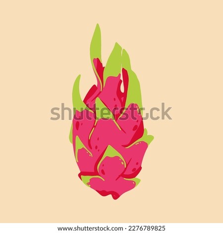 Colored vector illustration of  dragon fruit. For cosmetic package design, medicinal herb, treating, half care, prints. Design element  for fabric, textile, clothing, wrapping paper, wallpaper