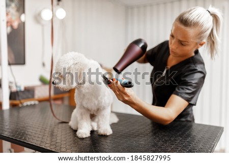 Similar – Image, Stock Photo drying the dog with a towel