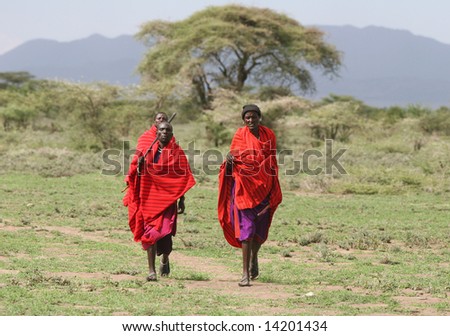 TANZANIA - UNKNOWN: Three Masai men walking through the savanna in this undated image taken in Tanzania.