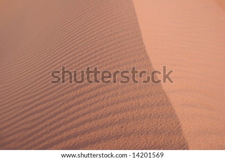 Sand ripples in Arizona desert. Northern Arizona. USA
