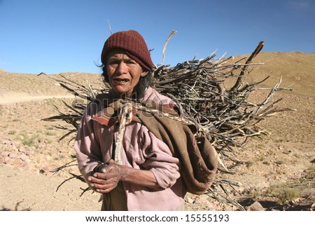 BOLIVIA - OCTOBER 18: Old woman pleading with a stack of wood on her back. Great Trekking adventure October 18, 2005 in Bolivia.