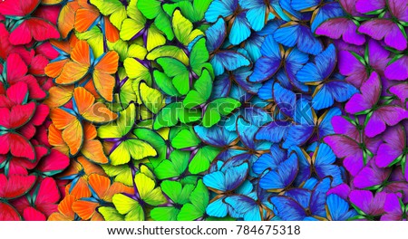 Similar – Image, Stock Photo Bright colours Design