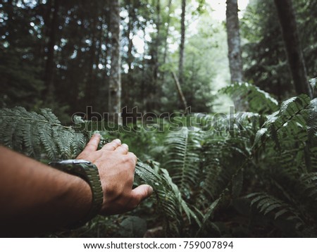 Similar – Image, Stock Photo Hipster man in jungle with guitar