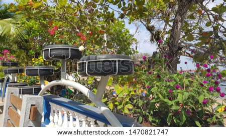 Car tires used as plant pots n Isla Taboga, Panama, providing a nice floral decoration to the main pedestrian area on this touristy island. Foto stock © 