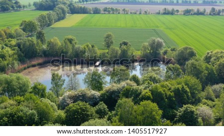 Similar – Image, Stock Photo Flying fish Overview