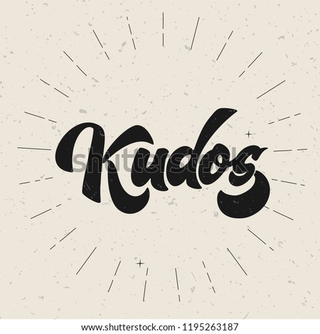 Bravo Kudos. Beautiful greeting card scratched calligraphy text word Kudos Bravo. Hand drawn invitation T-shirt print design. Handwritten modern brush lettering vector