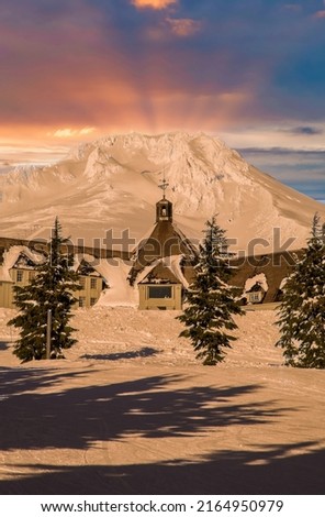 Similar – Image, Stock Photo The timberline Forest