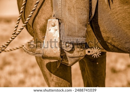 Similar – Image, Stock Photo ON THE SPUR OF THE MOMENT.