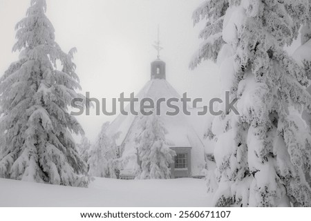 Similar – Image, Stock Photo The timberline Forest