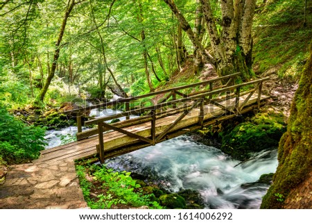 Similar – Foto Bild Eine Brücke aus Holz, die über einen Bach führt