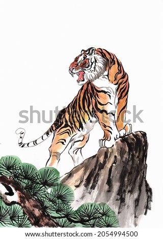 Tiger growls standing on a rock near pine trees on a white background. Watercolor painting in the style of Chinese painting.