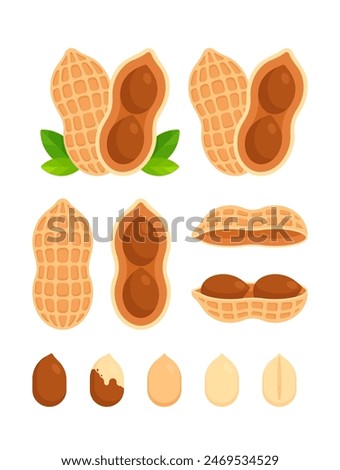 Set of whole, halved, peeled, unpeeled, and split peanuts. Flat icon set isolated on white background. Superfood and vegan protein source concept. Perfect for dietary guides and food packaging