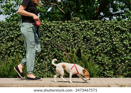 Similar – Image, Stock Photo Shoes on a leash