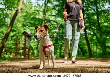 Similar – Foto Bild Frau mit Hund beim Spaziergang entlang der nassen Mole gegen ruhiges Meerwasser und felsige Küste bei sonnigem Wetter