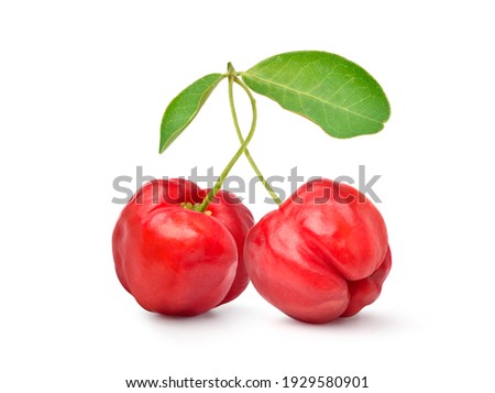 Two Juicy red Acerola cherry fruits  with green leaf isolated on white background. Clipping path. 