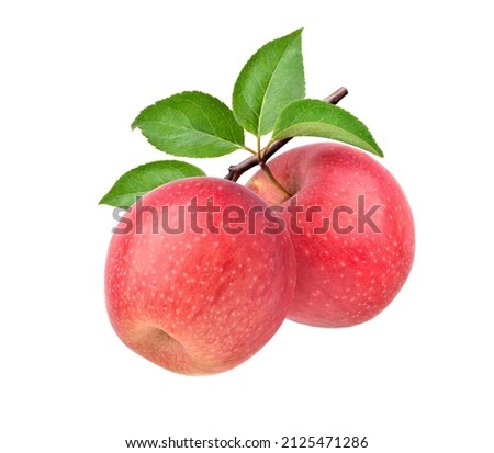 Similar – Image, Stock Photo Ripe red apples hanging on tree in plantation in Lofthus