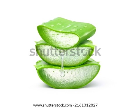 Image, Stock Photo Three leaves and drops all around