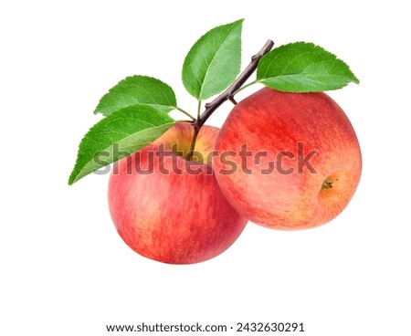 Similar – Image, Stock Photo Apple branches apples