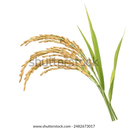 Similar – Image, Stock Photo On the stalk