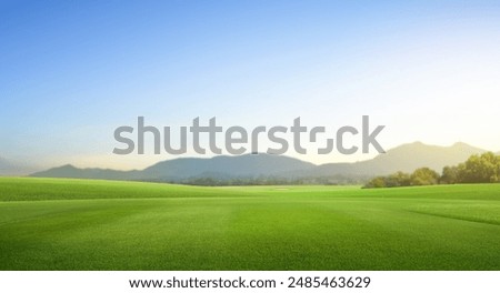 Foto Bild Landschaft mit Feldern in verschiedenen Farben (grün, gelb, braun) die einen bogenförmigen Verlauf haben. Zwischen den Feldern steht ein einzelnenr Baum. Weiter am Horizont noch mehr Bäume. Der Himmel ist blau. Es gibt einzelne Wolken.