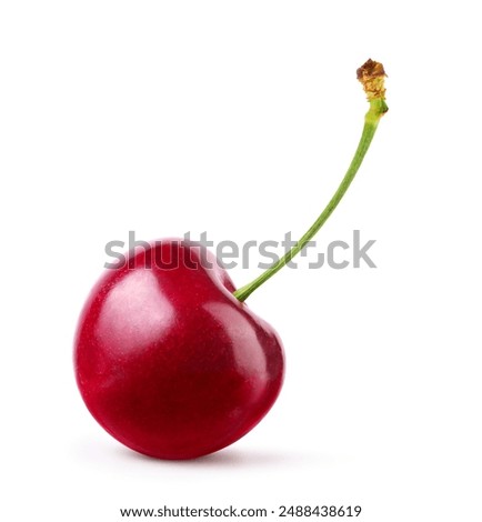 Similar – Image, Stock Photo One fresh red organic apple on a blue studio background