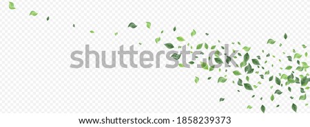 Forest Greenery Nature Vector Panoramic Transparent Background Plant. Tea Foliage Branch. Green Leaves Realistic Backdrop. Leaf Forest Illustration.