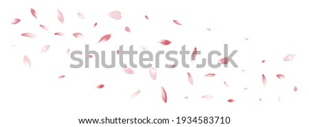 Color Cherry Petal Vector White Background. Pastel Air Rose Petal Backdrop. Sakura Petal Spa Frame. Floral Flower Petal Product.
