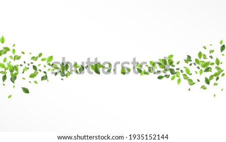 Green Greenery Blur Vector White Background Branch. Flying Leaves Template. Olive Foliage Forest Design. Leaf Realistic Brochure.