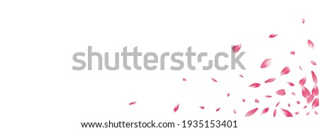 White Rose Petal Vector Panoramic Background. Pink Bright Peach Petal Cover. Cherry Petal Fly Backdrop. Beauty Lotus Petal Pattern.