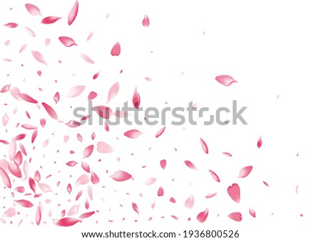 Purple Flower Petal Vector White Background. Pink March Rose Petal Illustration. Peach Petal Air Banner. Aroma Apple Petal Card.