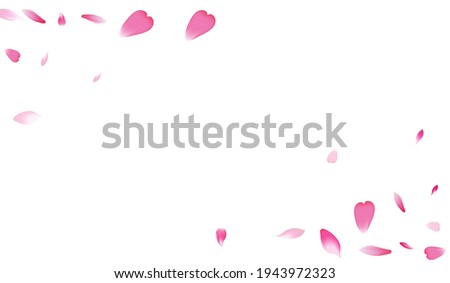 Pink Apple Petal Vector White Background. White Soft Flower Petal Template. Lotus Petal Blossom Product. 3d Rose Petal Poster.