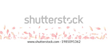 White Apple Petal Vector Panoramic Background. Pastel Fall Rose Petal Poster. Flower Petal Floral Design. Free Lotus Petal Congratulation.