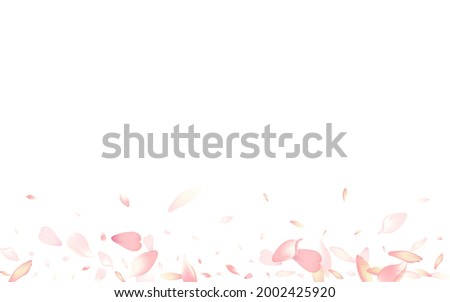 Transparent Cherry Petal Vector White Background. Purple Falling Lotus Petal Pattern. Apple Petal 3d Poster. Romantic Rose Petal Illustration.
