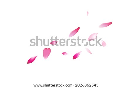 Color Cherry Petal Vector White Background. Pink Flying Flower Petal Cover. Apple Petal Falling Frame. Bright Peach Petal Design.
