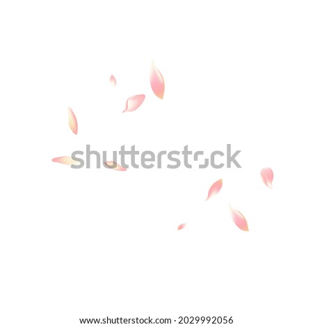Transparent Lotus Petal Vector White Background. White Free Apple Petal Poster. Sakura Petal Fly Backdrop. Floor Flower Petal Illustration.
