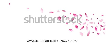 Pink Peach Petal Vector White Background. Transparent Floor Flower Petal Poster. Cherry Petal Spa Banner. Fly Sakura Petal Template.