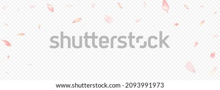 Purple Rosa Vector Panoramic Transparent Background. Cherry Mother Banner. Tree Japanese Backdrop. Heart Isolated Texture. Pink Petal Air Congratulation.