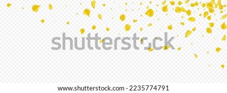 Yellow Petal Beauty Vector Panoramic Transparent Background. Japan Peach Cover. Amber Flower Spring Template. Gold Rose Blur Backdrop.