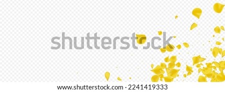 Lemon Flower Spring Vector Panoramic Transparent Background. Fly Blossom Illustration. Gold Petal Tender Pattern. Mustard Cherry Blur Backdrop.