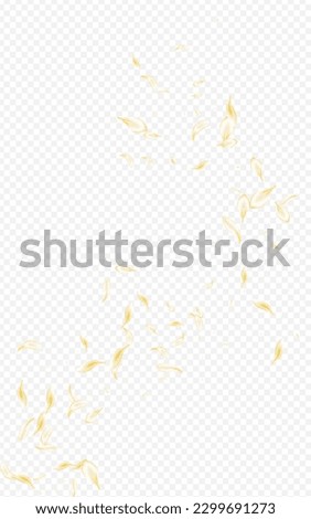 Beige Rose Spring Vector Transparent Background. Gold Fall Blossom Backdrop. Delicate Petal Japanese Template. Yellow Cherry Summer Cover. Falling Flower Frame.