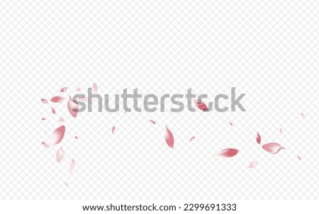 White Flower Vector Transparent Background. Sakura Feminine Cover. Blossom SummerDrop Template. Floral Wedding Card. Red Petal Dream Congratulation.