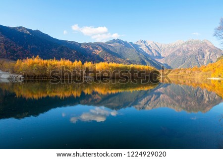 Shutterstock Puzzlepix