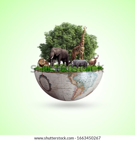 world wildlife by Animal's on earth, wildlife concept, environment day, World Habitat & wildlife day, 3rd March , 21th, world day of endangered species,  world Forest and biodiversity day, Foto d'archivio © 