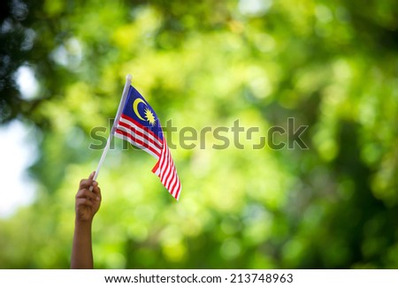 Hand waving flag of malaysia during independence day.
