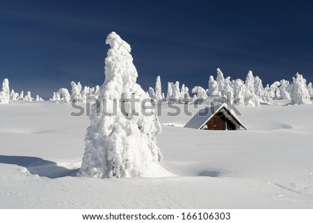 Snowy plain with a snowbound hut and snow-covered trees on a sunny winter day.