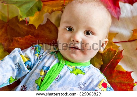 Adorable newborn baby boy portrait with autumn colored maple leaves background