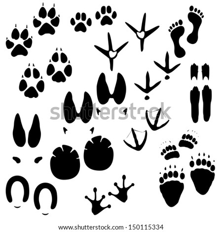Collection of animals, birds and man trace